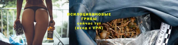 apvp Баксан