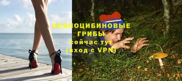 apvp Баксан