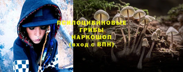 гашик Балабаново